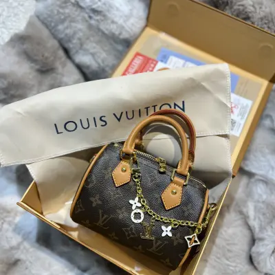 Louis Vuitton mini