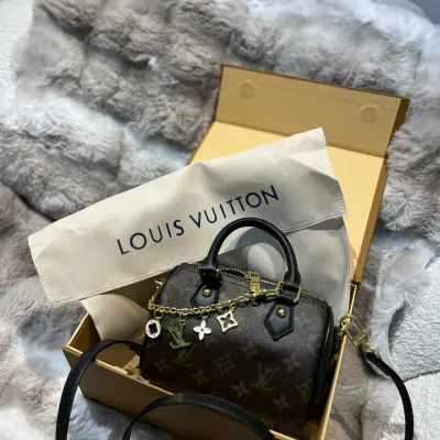 Louis Vuitton mini