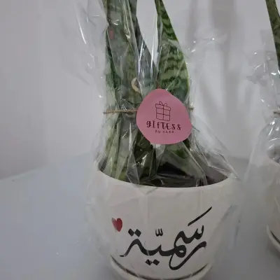 قوار هدية حجم وسط مع اضافة اسم أو جملة