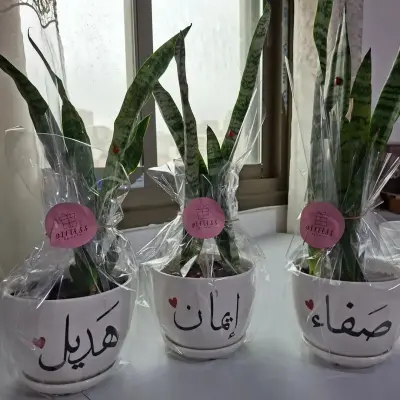 قوار هدية حجم وسط مع اضافة اسم أو جملة