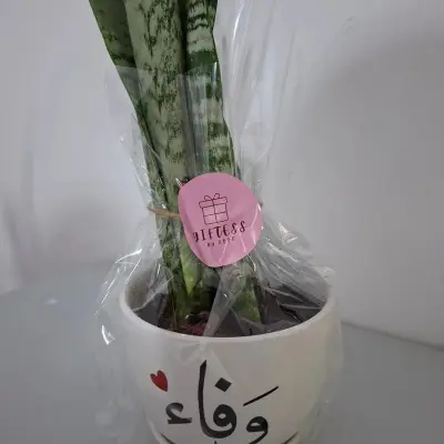 قوار هدية حجم وسط مع اضافة اسم أو جملة