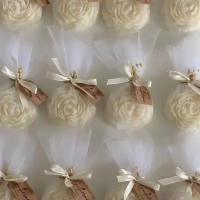 توزيعات لجميع المنسابات-1